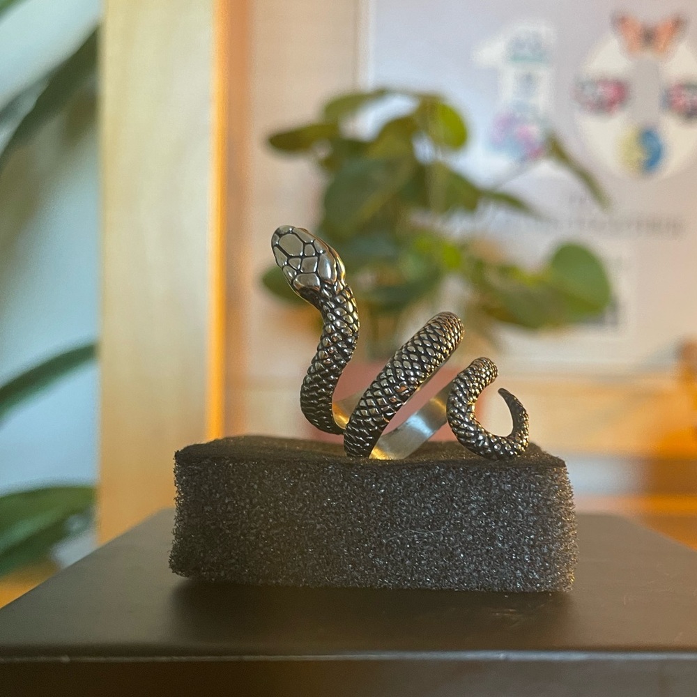 Coiled Snake Stainless Steel Ring